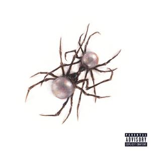 狗与猪锁住视频大全原声一
