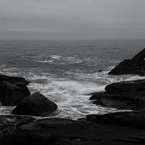 狗与猪锁住视频大全原声一
