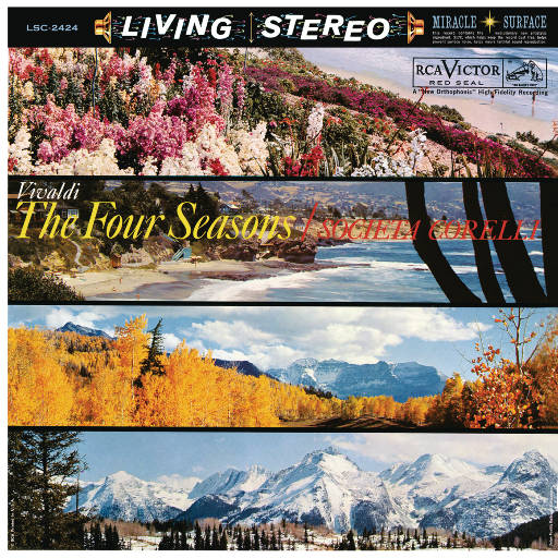 狗与猪锁住视频大全原声一
